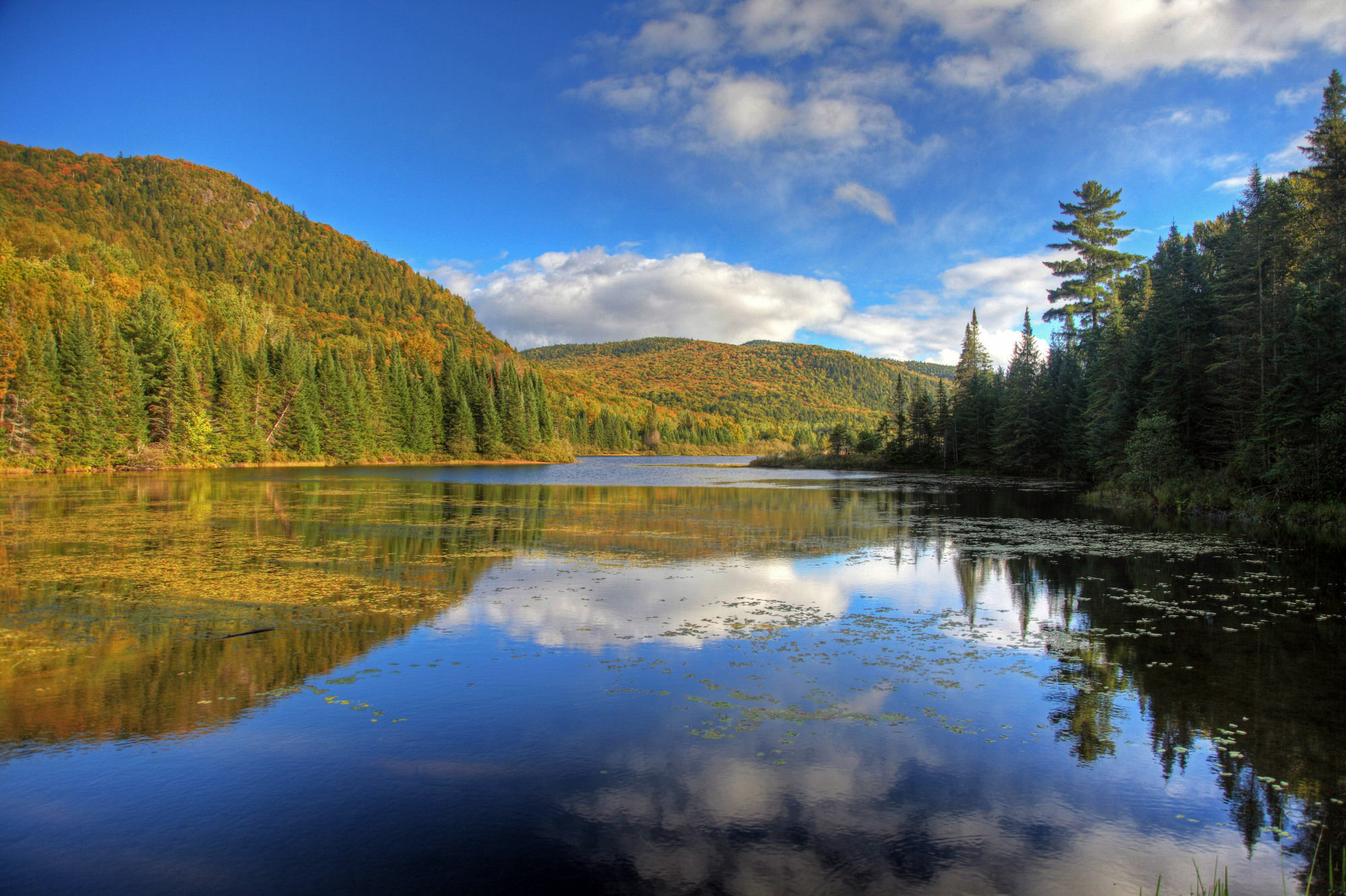 Hotel Vacances Tremblant Mont-Tremblant Bagian luar foto